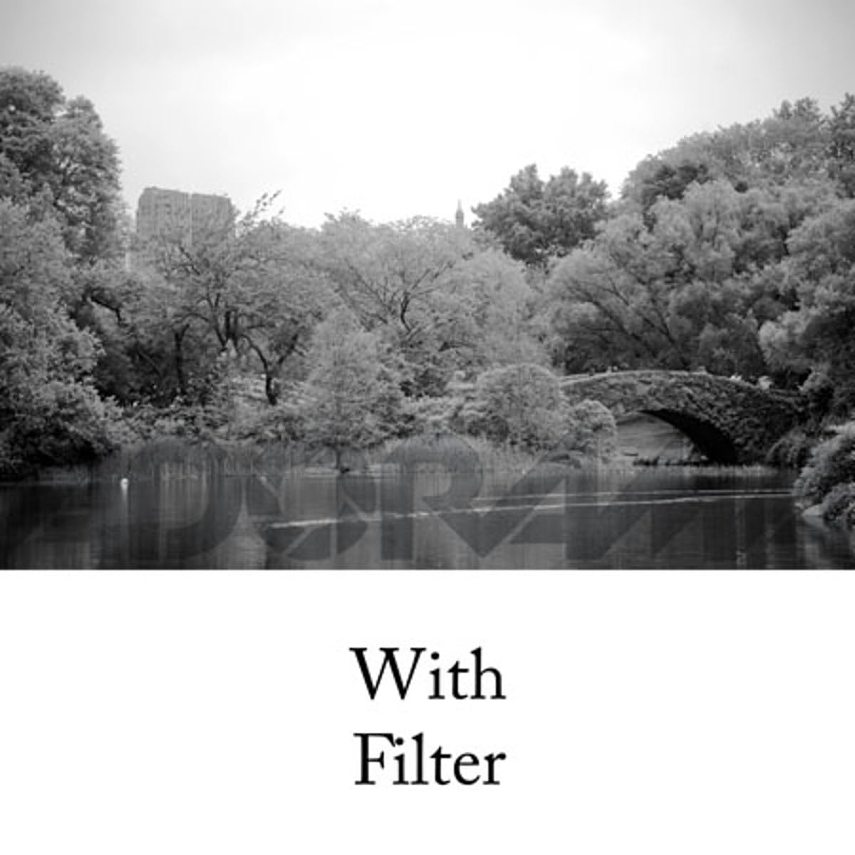 Tiffen 77mm 21 Filter (Orange)