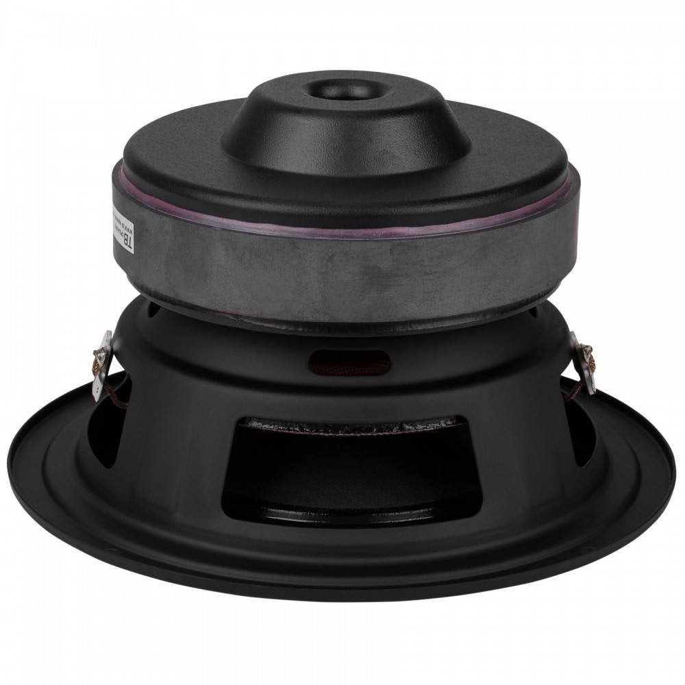 Tang Band W6-1139SIF 6-1/2" Paper Cone Subwoofer Speaker