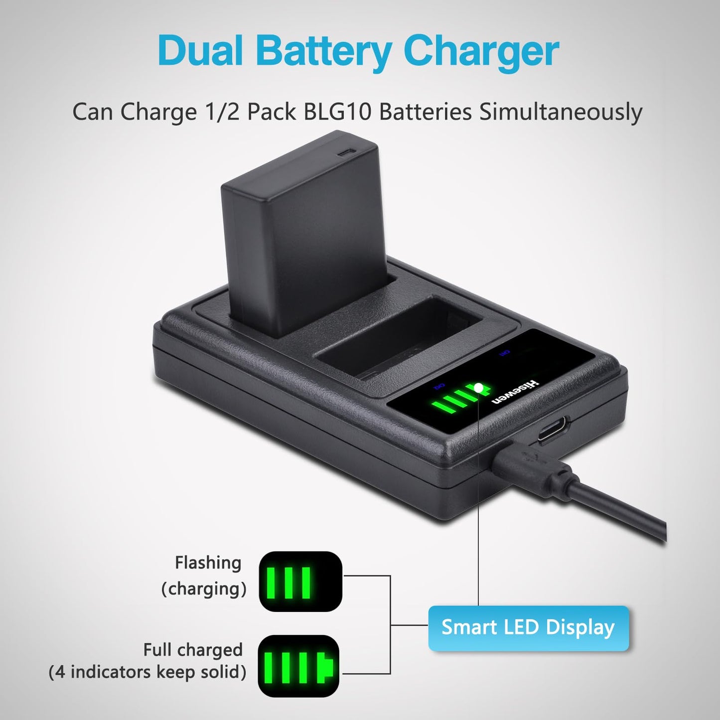 Hisewen DMW-BLG10 DMW-BLG10PP DMW-BLE9 Battery 2 Pcs, Dual Charger for Panasonic Lumix DMC-GX85 DMC-GX80 DMC-ZS60 DMC-ZS100 DMC-GF3 DMC-GF5 DMC-GF6