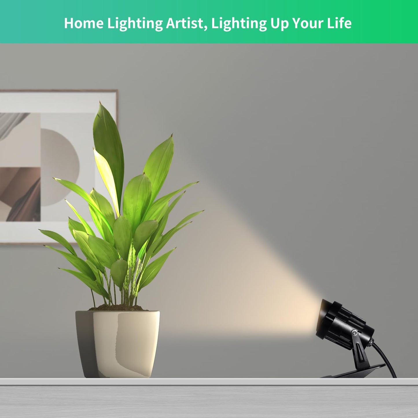 AKTSNYMPH LED Clamp Spot Lights,Indoor Plants Decor Accent Lighting,Clip on Lights Warm White 3000K Uplights with 9.8FT Cord and Switch for Trade