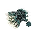 Novelty Lights 22 Feet 100 Bulbs Traditional Incandescent Mini Lights, Clear on Green Wire with 2.5" Spacing, Commercial Grade and UL Listed