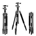 Zomei Q555 62.5'' Camera Tripod,Lightweight and Compact Aluminum Portable Travel Tripod with 360 Degree Ball Head for Vlog Nikon Canon Sony All DSLR