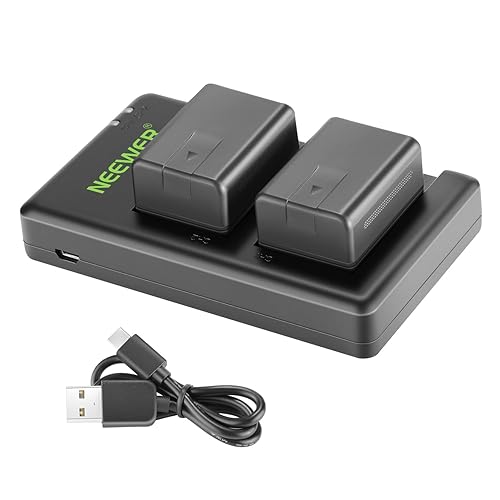 NEEWER Replacement Battery and Charger Set for VW-VBT190, 2 Pack 1950 mAh Batteries and Dual USB Charger, Compatible with Panasonic HC-V110 V130 V160