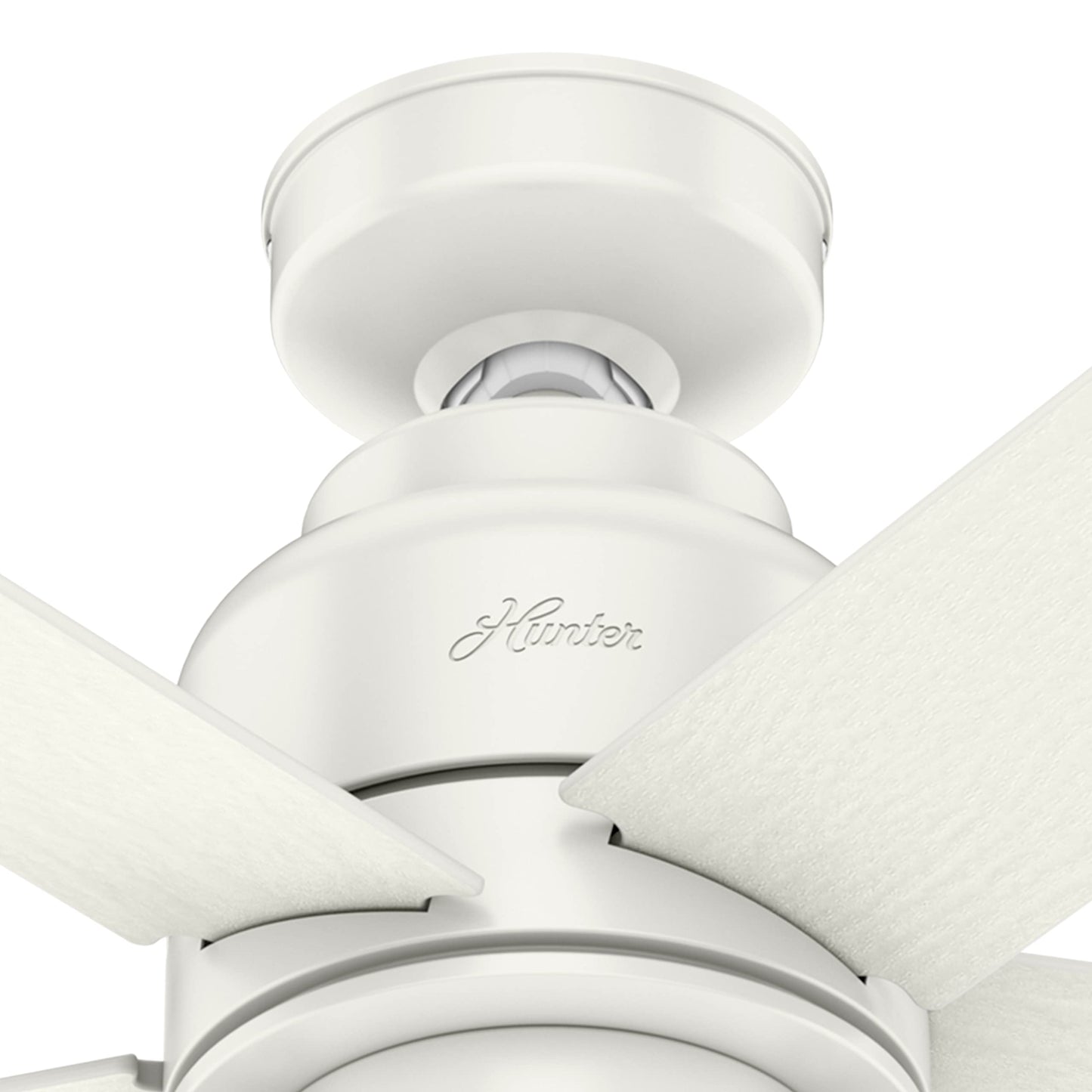 Hunter Fan 52 inch Fresh White Finish Indoor Ceiling Fan with Light Kit (Renewed)