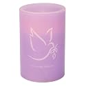 Mark Feldstein & Associates in Memoriam Quote Dove of Peace Flameless LED Remembrance Candle Pillar, 4 x 6 Inch
