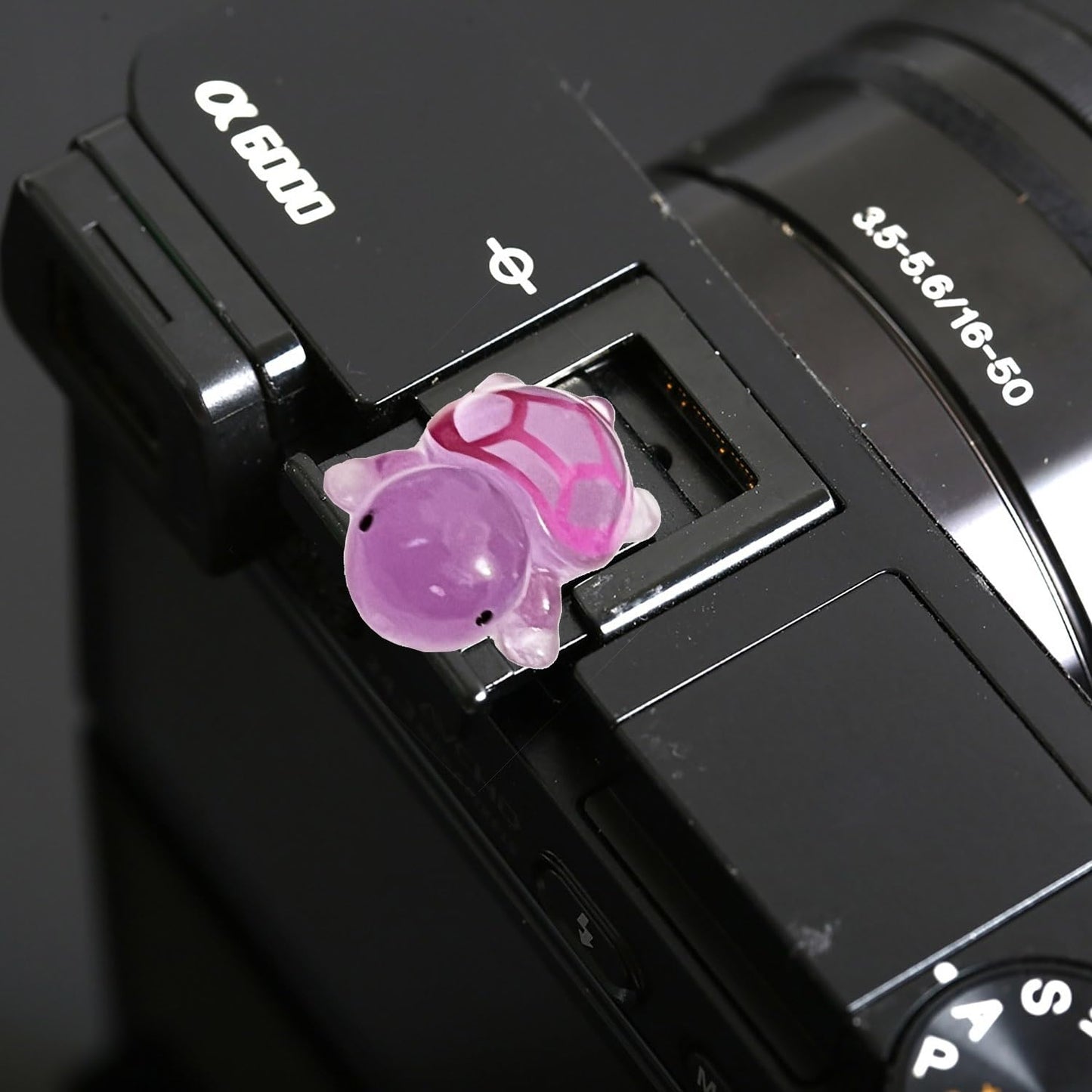 Camera Hot Shoe Cover, Cute Hot Shoe Cap, Hot Shoe Protector Compatible with Sony Fujifilm Fuji Canon Nikon Pentax Leical Panasonic (Blue & Purple