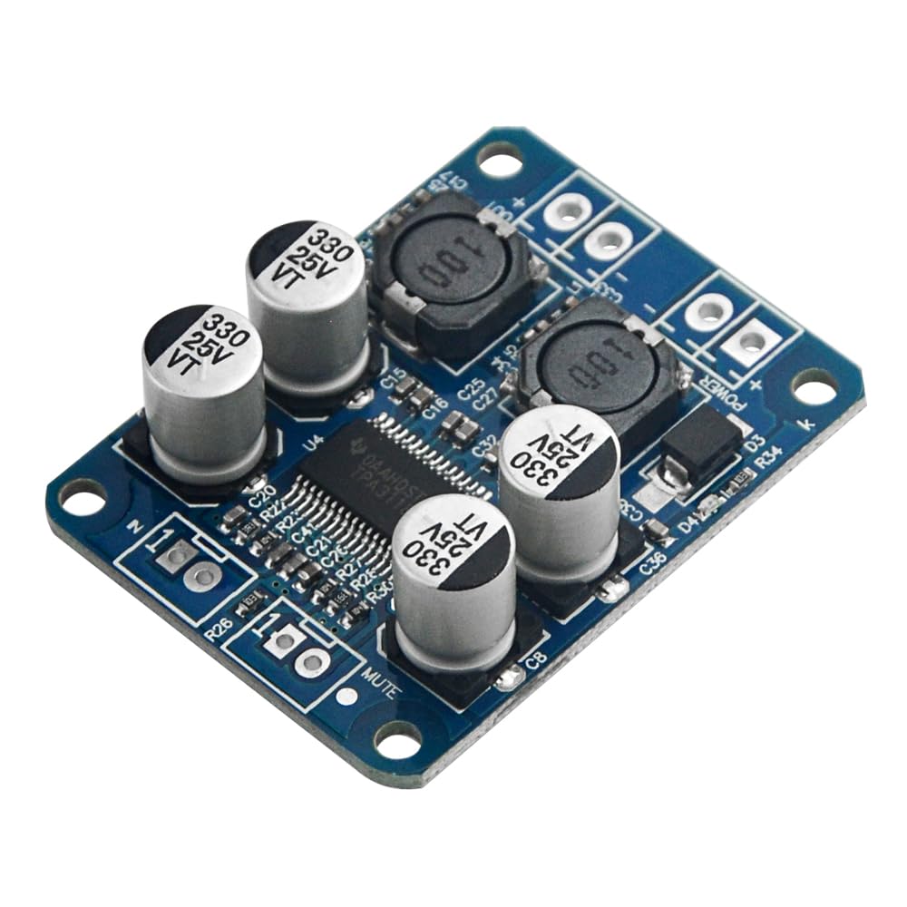 XINGYHENG 2Pcs TPA3118 Single Channel Digital Audio Power Amplifier Board Module 1X60W DC 12V-24V Converter for Audio System DIY Speakers