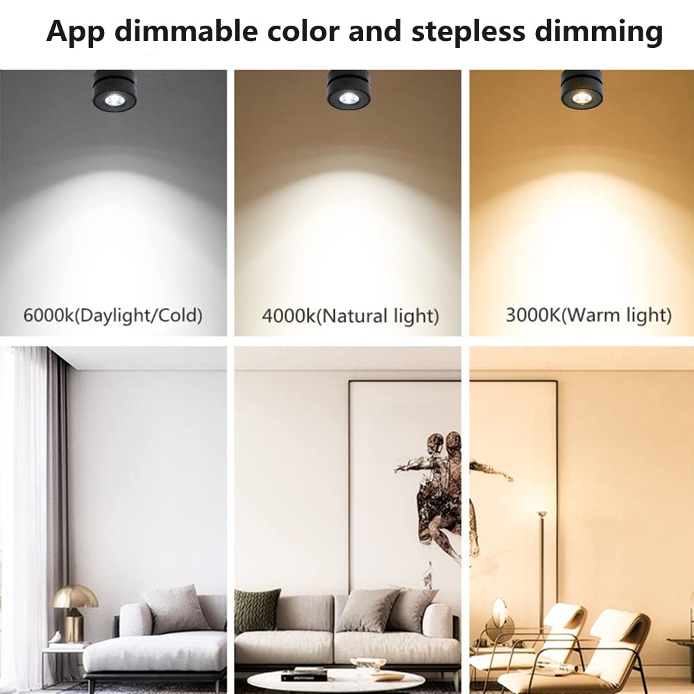 Dimmable Art Ceiling Spotlight LED - 360° Adjustable Surface Mounted Dimming 12W COB Lighting Indoor Ceiling Downlight Aluminum Wall Spot Light