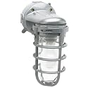 Woods L1707SV Traditional 150W Incandescent Weather Industrial Light, Wall Mount, Silver,Large