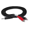 Hosa CMR-210 Stereo Breakout, 3.5 mm TRS to Dual RCA, 10 Feet