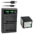Kastar 1-Pack VW-VBN260 Battery and LTD2 USB Charger Replacement for Panasonic HDC-SD900, HDC-SD909, HDC-TM900, HDC-TM900GK, HDC-TM900GK-3D