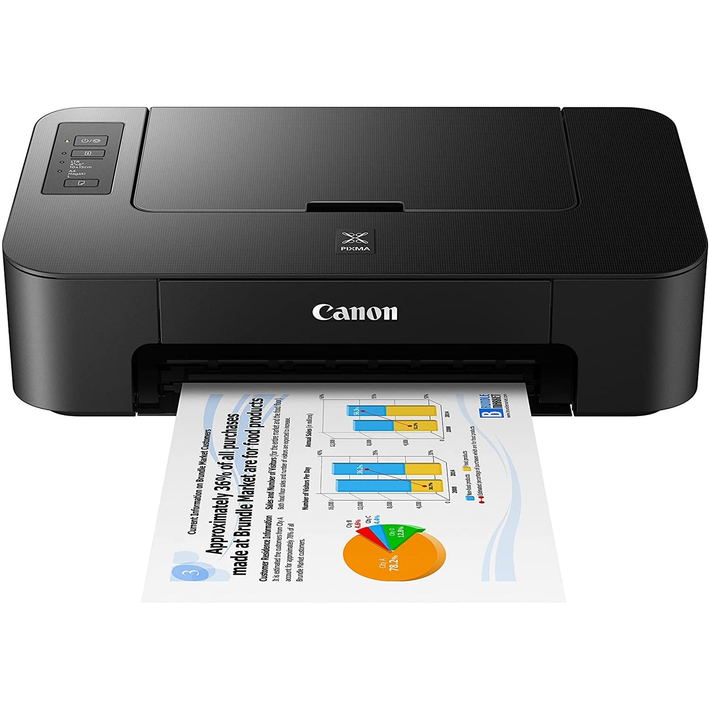 Canon PIXMA TS202 Inkjet Printer for Documents and Photos Up to 4800 x 1200 dpi with Complete Set of Full-Size Ink Cartridges Bundle Including DGE USB