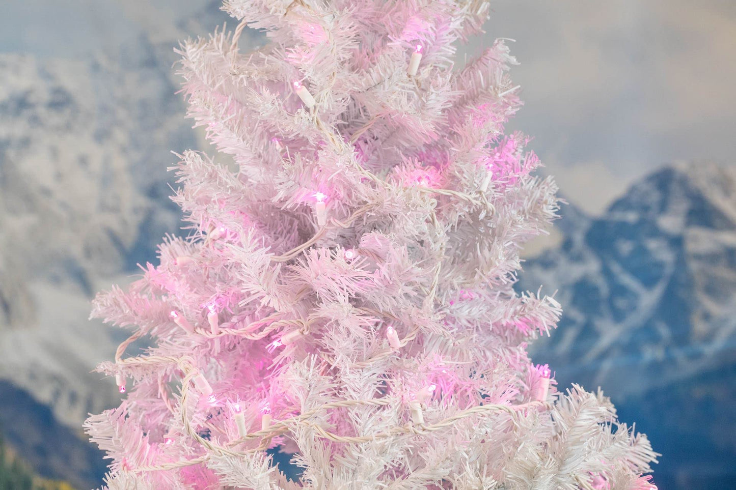 Novelty Lights 25ft Christmas String Lights, 50 Pink LED Bulbs on White Wire, 6" Spacing, Connectable Indoor Outdoor Commercial Grade Lighting