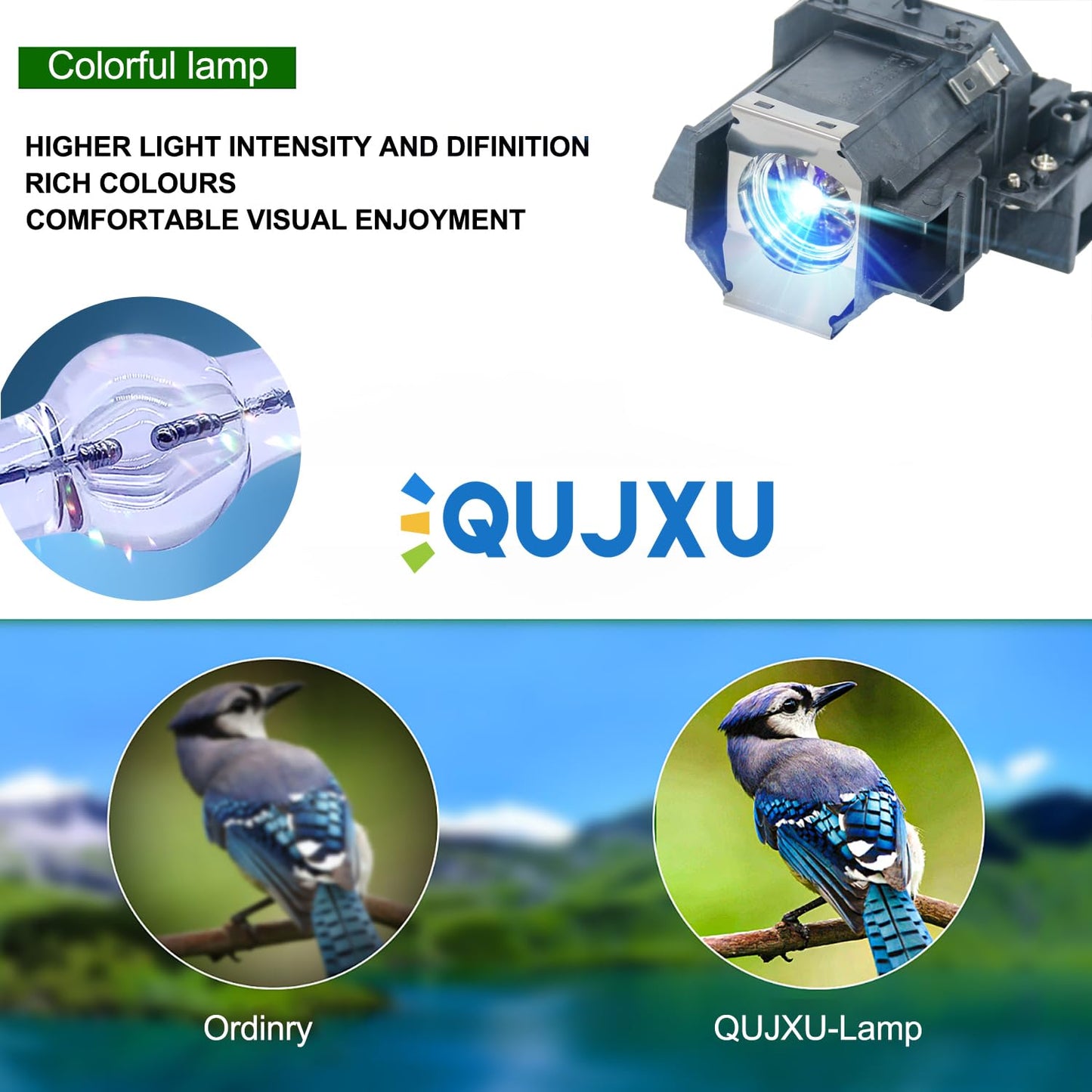 QUJXU V13H010L39 Replacement Projector Lamp for ELPLP39 for EMP-TW1000 EMP-TW2000 EMP-TW700 EMP-TW980 Home Cinema 1080 Projector with Housing