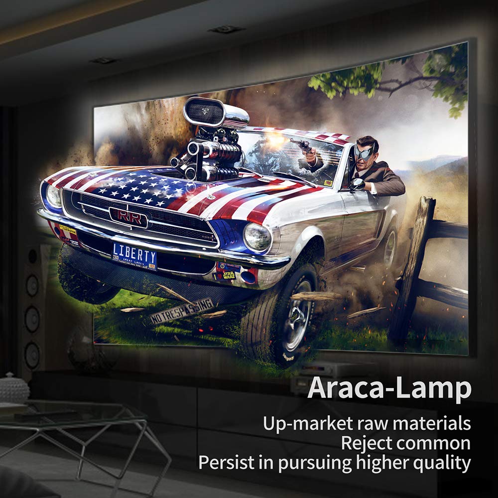 Araca PK-L2312U /PK-L2312UG Projector Lamp with Housing for DLA-X35 DLA-RS66 DLA-X700R DLA-X500R DLA-RS46 DLA-X95R Replacement Projector Lamp
