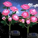 TYNLED Outdoor Solar Garden Stake Lights,Upgraded LED Solar Powered Light with 6 Rose Flowers, Waterproof Solar Decorative Lights for Patio Pathway