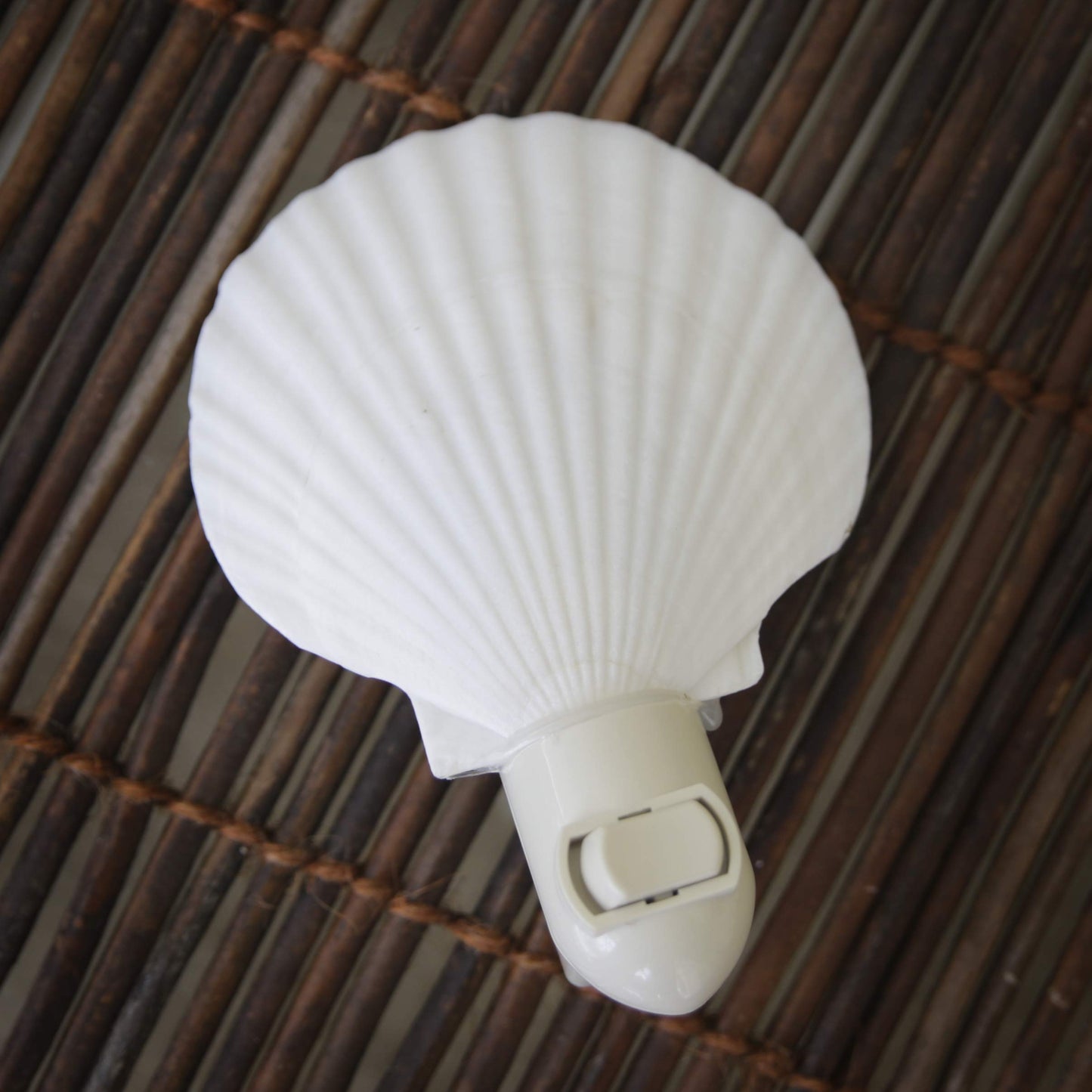 Tumbler Home Real Sea Shell Beach Night Light Real, Natural, Perfect for Beach Home Decor