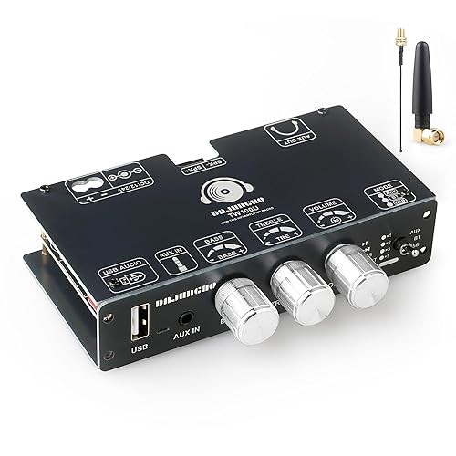 TW100U 100W Mono Amplifier Board, TPA3116D2 Digital Power Amp Module with Built-in Step-up Voltage Circuit (19V/24V), Supports TWS Wireless Pairing