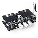 TW100U 100W Mono Bluetooth 5.3 Amplifier Board, TPA3116D2 Digital Power Amp Module, Support TWS Wireless Pairing, AUX/USB/Bluetooth Input, DC 12-24V