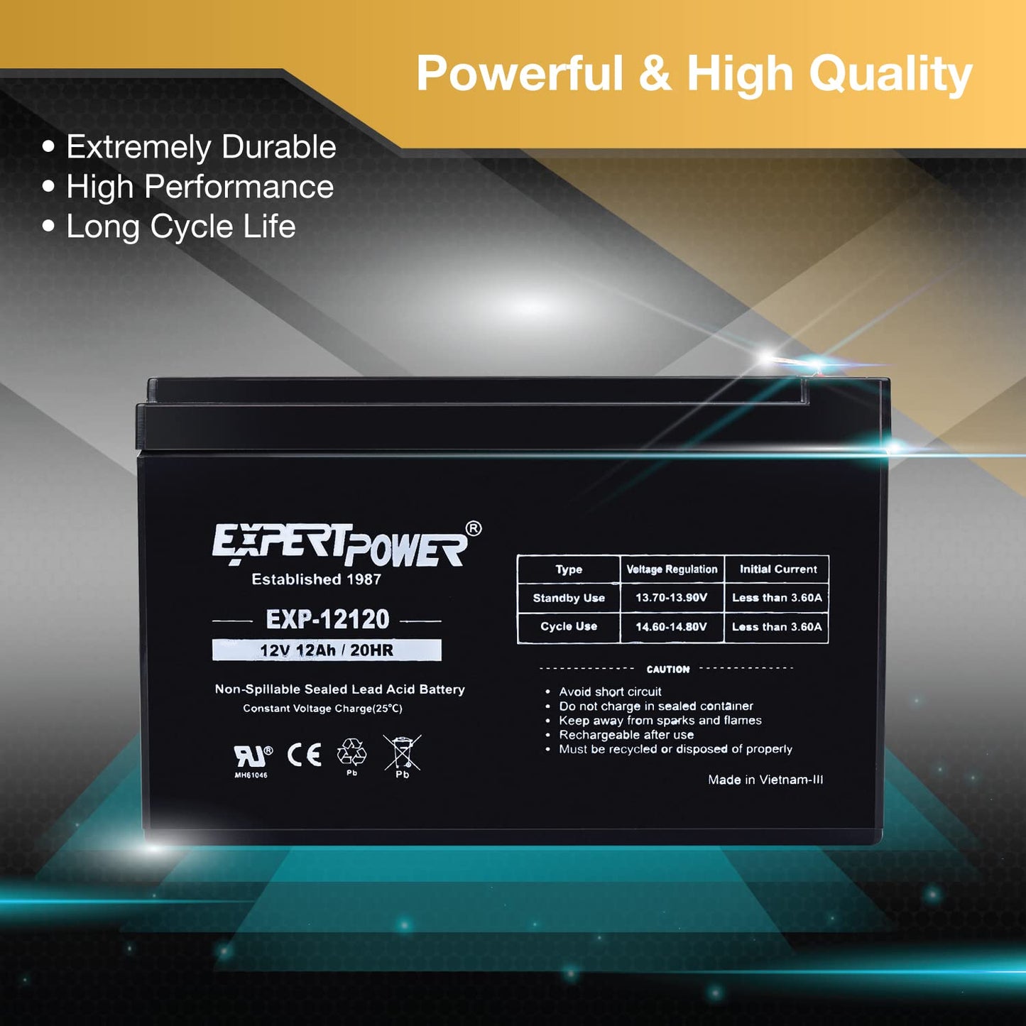 ExpertPower EXP12120 12V 12Ah AGM Battery - Sealed Lead Acid 12V Battery Pack, Rechargeable SLA with F2 Terminals, UPS Replacement, Wheelchair…
