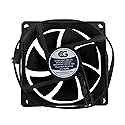 Coolerguys 80x80x20mm 12 VDC 3Pin Medium Speed Fan CG8020M12B2-3Y
