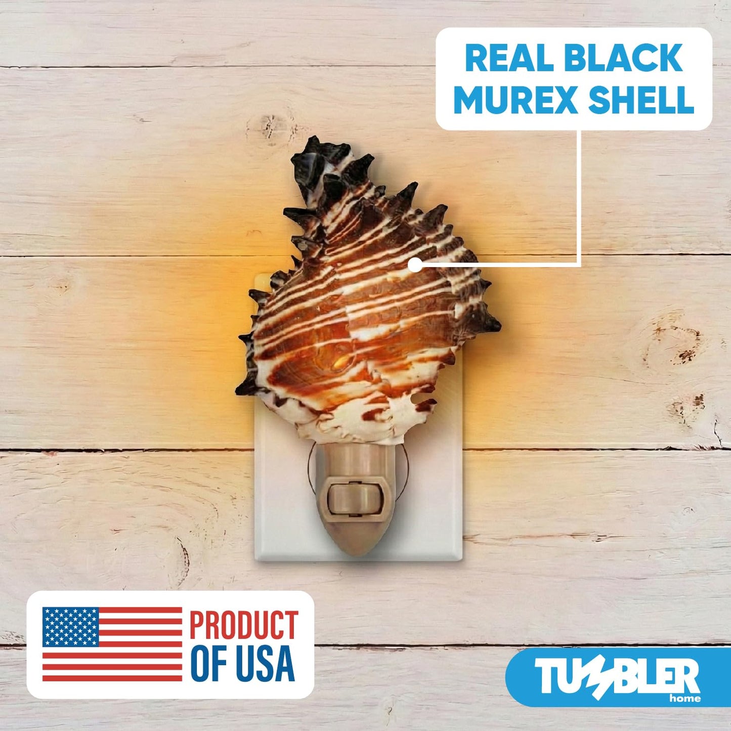 Tumbler Home Shell Night Light, Seashell Nightlight for Bathroom, Unique Coastal Night Light for Nautical, Ocean & Beach Décor