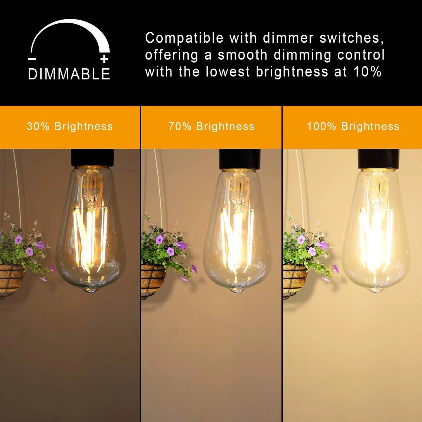 ANYPOWK 12V LED Edison Light Bulbs Low Voltage - Warm Light 6W E26 Standard Base 60W Equivalent - DC Bulb for RV, Solar Panel Project, Boat, Garden