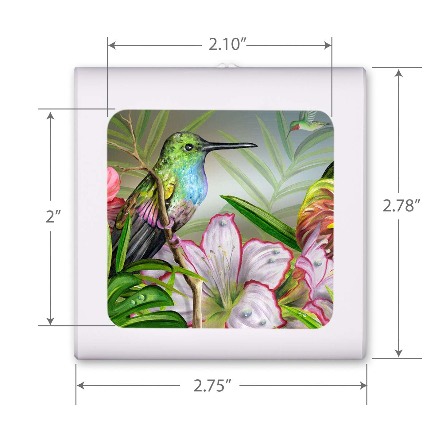 Art Plates Plug in Dimmable LED Night Light with Dusk to Dawn Auto Sensor, Adjustable Brightness, Warm Light, Auto On-Off Nightlight for Bathroom