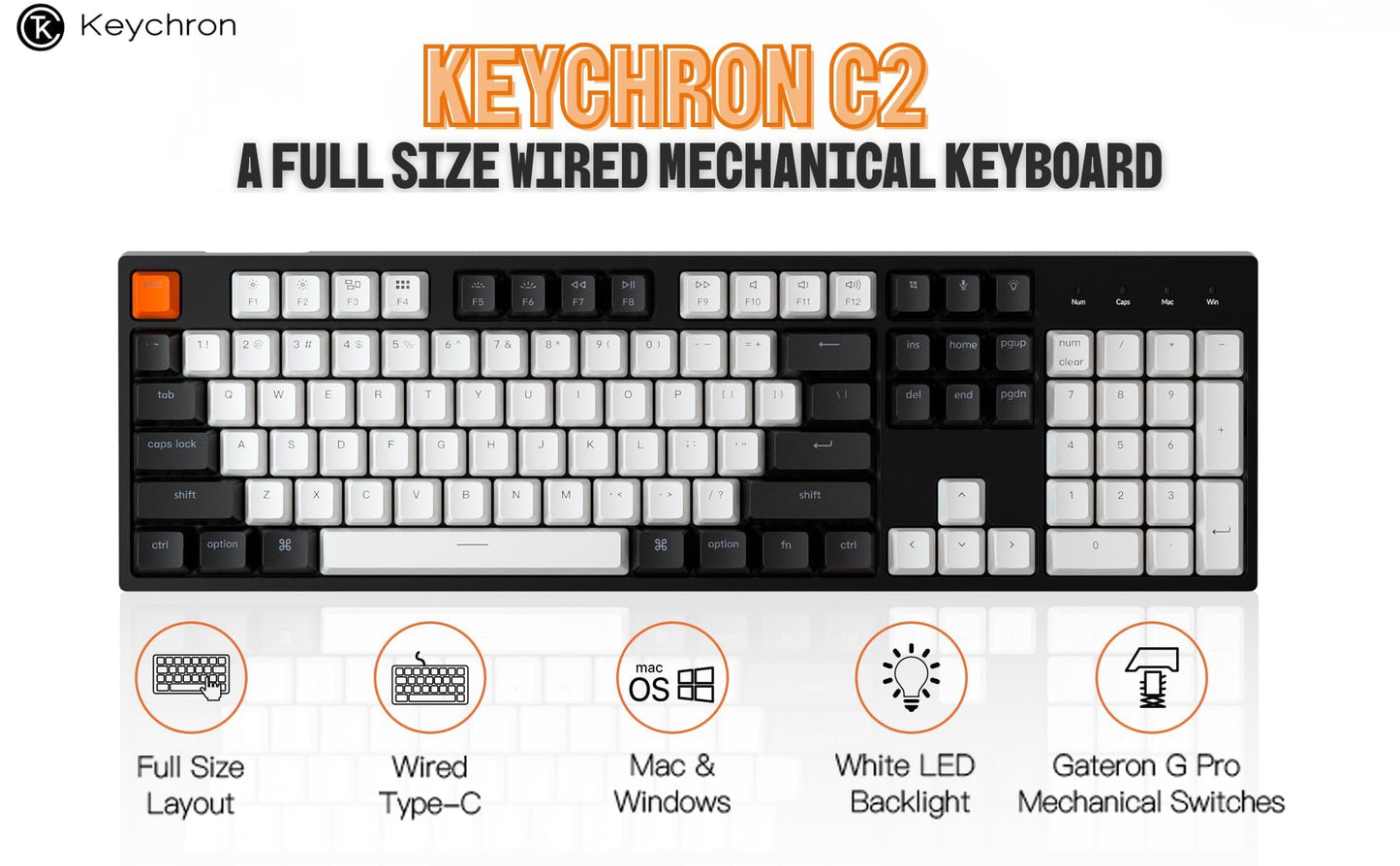 Keychron C2 Full Size 104 Keys Wired Mechanical Gaming Keyboard for Mac Layout with Gateron G Pro Red Switch/White LED Backlight/Double Shot ABS