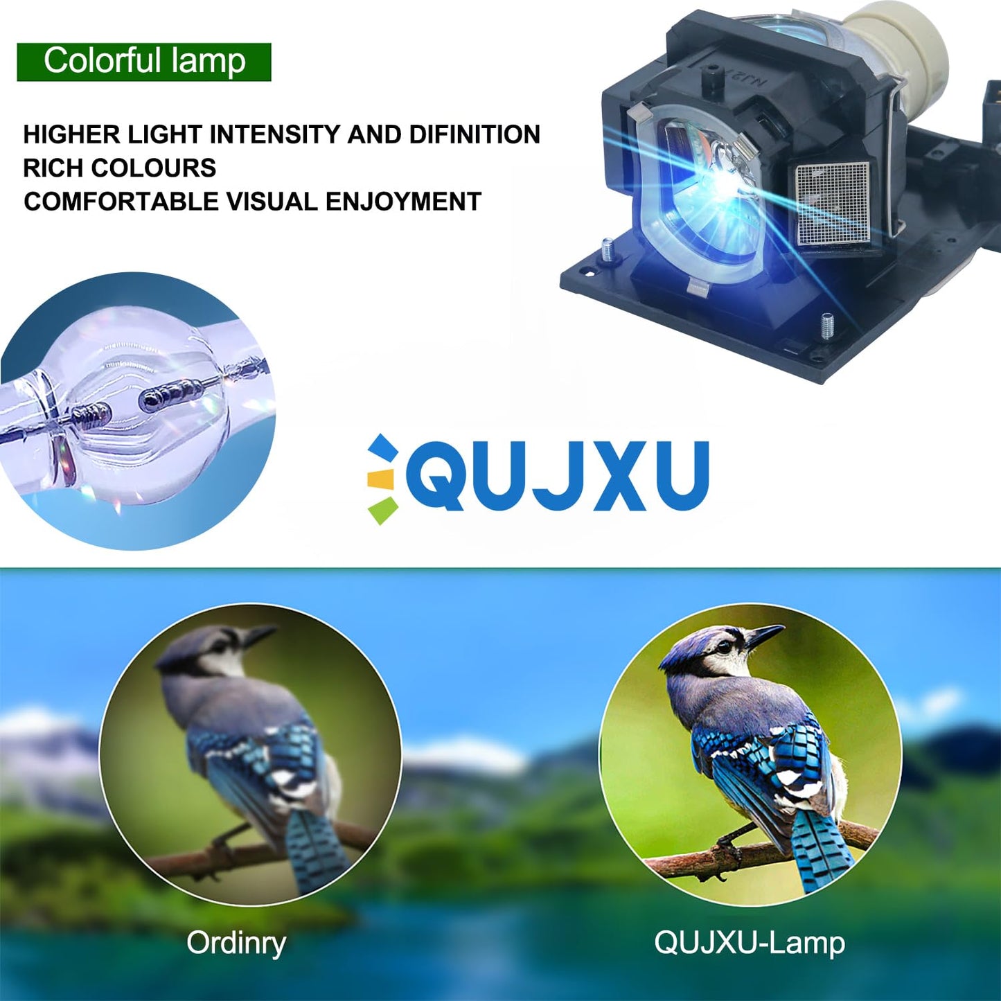 QUJXU DT01181/DT01251/DT01381 Replacement Projector Lamp Bulb for Hitachi BZ-1 CP-A220NM A221NM A222NM A250NL A300NM A301NM A302WN AW2519NM AW251NM