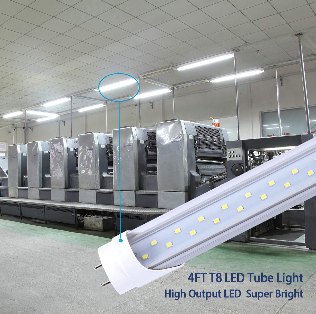 TRLIFE 4FT LED Light Bulbs, T8 LED Tube Lights 4FT 28W 6000K Cool White, 3360 Lumens Dual Row LEDs Replacement for 4FT Fluorescent Fixture, Clear