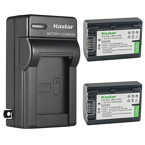 Kastar 2-Pack Battery and AC Wall Charger Replacement for Sony FDR-AX43, FDR-AX53, FDR-AXP55, HDR-CX110, HDR-CX115, HDR-CX116, HDR-CX130, HDR-CX150