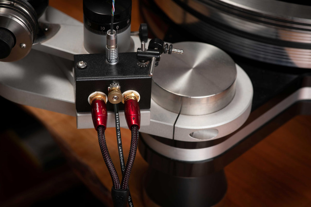 AudioQuest - Black Hole GroundGoody RF-Dissipating Ground Wire