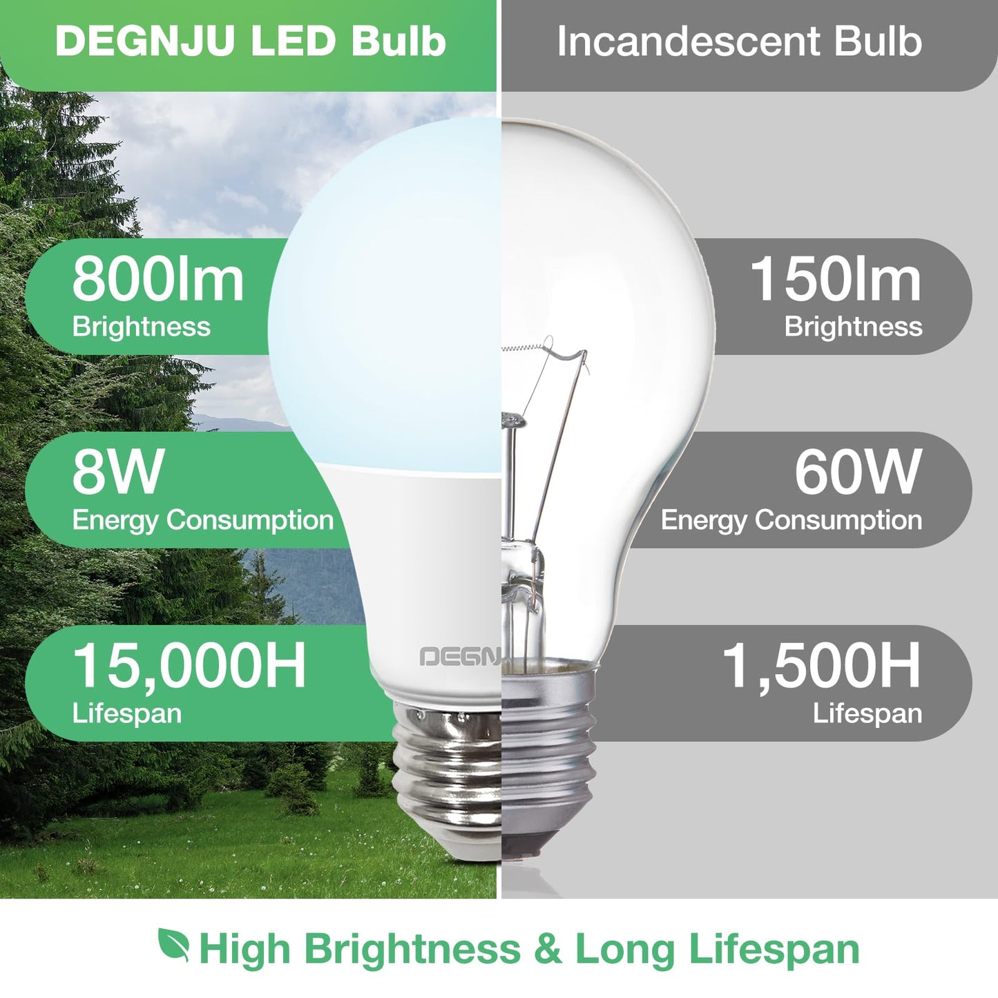DEGNJU 36 Pack LED Light Bulbs 60 Watt Equivalent, A19 5000K Daylight, 800 Lumens, E26 Base, Non-Dimmable, 8 Watt Energy Efficient LED Bulbs for Home