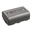 Kastar Battery (1-Pack) for Sony DVD HandyCam DCR-DVD105 DCR-DVD202E DCR-DVD203 DCR-DVD203E DCR-DVD205 DCR-DVD305 DCR-DVD403 DCR-DVD405 DCR-DVD408
