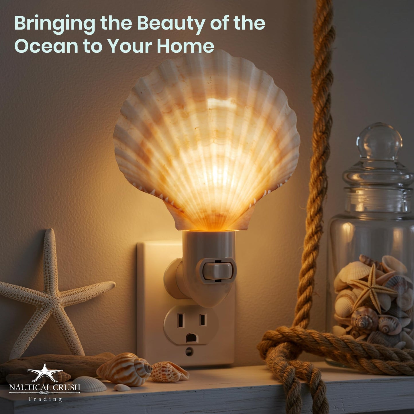 Nautical Crush Trading Seashell Night Light - Beach Night Light with Natural Clam Shell Light for Bathroom - Sea Shell Lamp - Seashell Lamp Plug Into