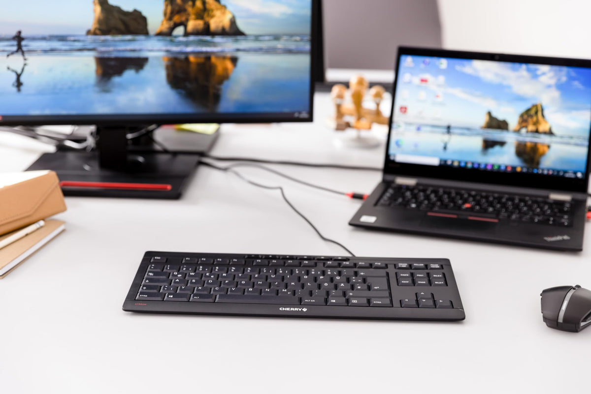 Cherry Stream Keyboard TKL, Wired Keyboard Without Number Pad, Whisper Quiet Keys, Unique Typing Feel, Slim Design, SX Scissor Switches, QWERTY