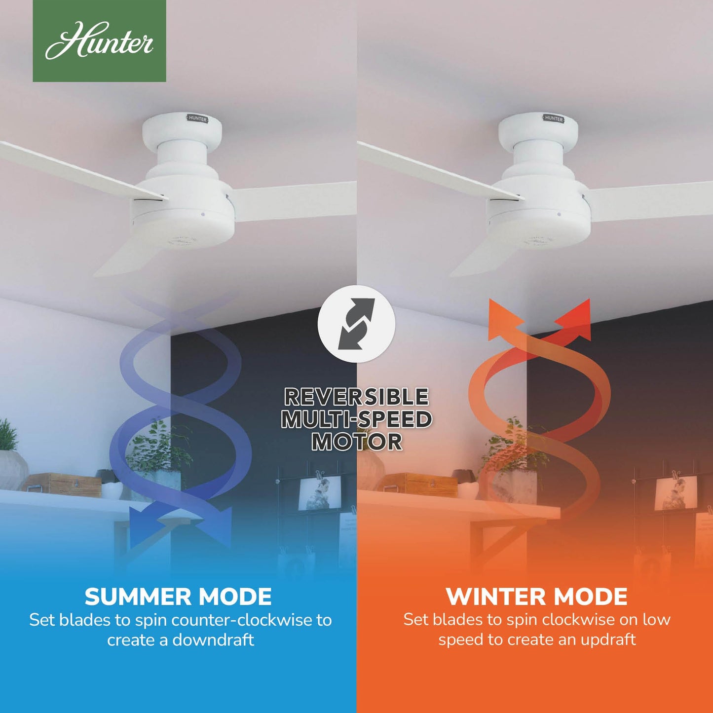 Hunter Presto, Indoor, Ceiling Fan, Wall Control, 44 inch, Matte White