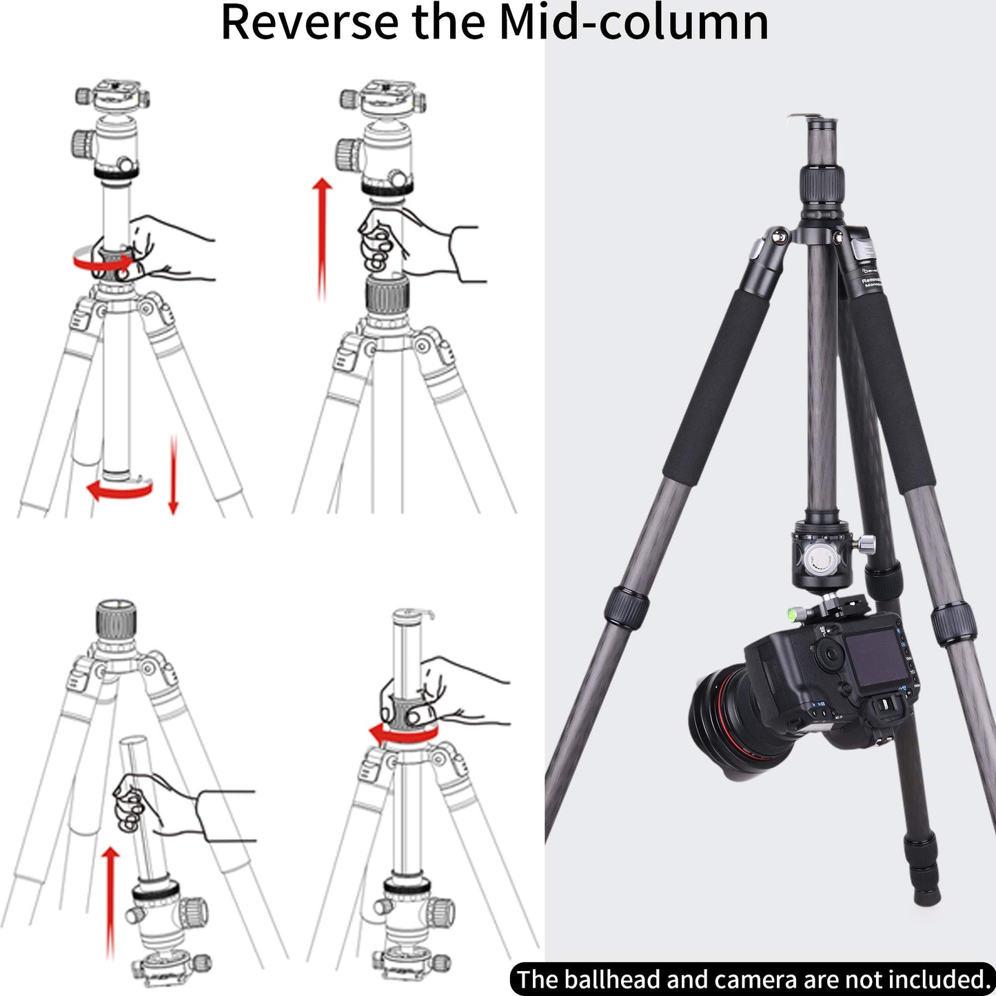 Carbon Fiber Tripod-INNOREL RT75C Without Ballhead Super Professional Tripod Monopod Heavy Duty Compact Stand Support for Digital DSLR Camera Travel