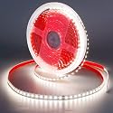 KXZM 24V 65.6ft/20m LED Strip Light Natural White 4000K 2400LEDs High Brightness 12000LM SMD2835 Flexible No-Waterproof IP20 LED Tape for Kitchen