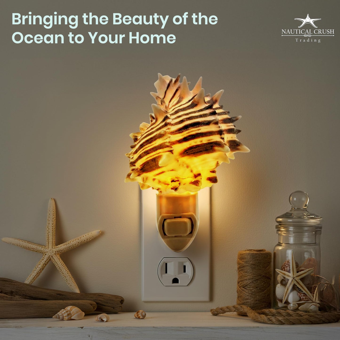 Seashell Night Light - Black Murex Nautical NightLight - Shell Light for Bathroom - Sea Shell Lamp - Seashell Lamp Plug Into Wall
