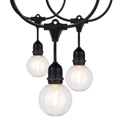 Satco S8034 LED Indoor/Outdoor String Lights, Black, G25 Bulbs, 24 Feet (Pack of 1)