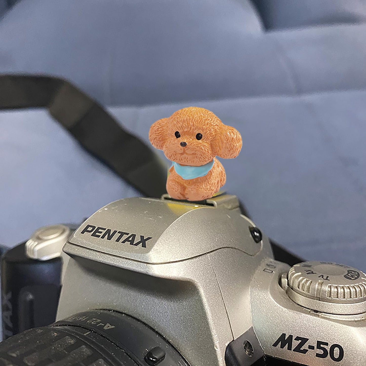 Camera Hot Shoe Cover, Cute Cap and Protector Compatible With Sony Fujifilm Fuji Canon Nikon Pentax Leical Panasonic (2pcs Golden Retriever + Tactic)
