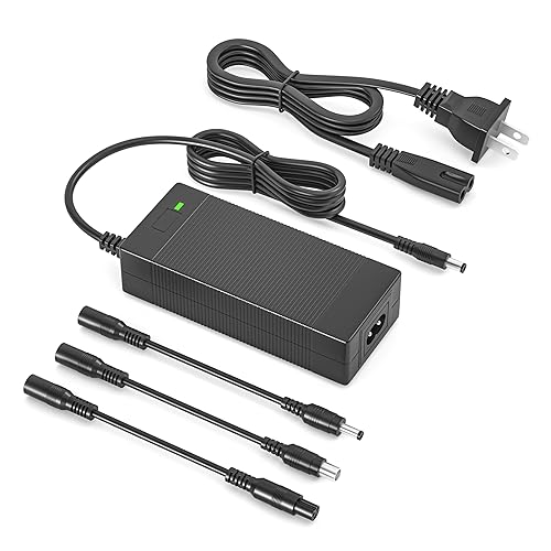 42V 2A Charger Compatible with Hiboy S2 Pro, S2, KS4, KS4 Pro, NEX, NEX3, NEX5 Electric Scooter Compatible with Hiboy Scooter Electric Power Supply