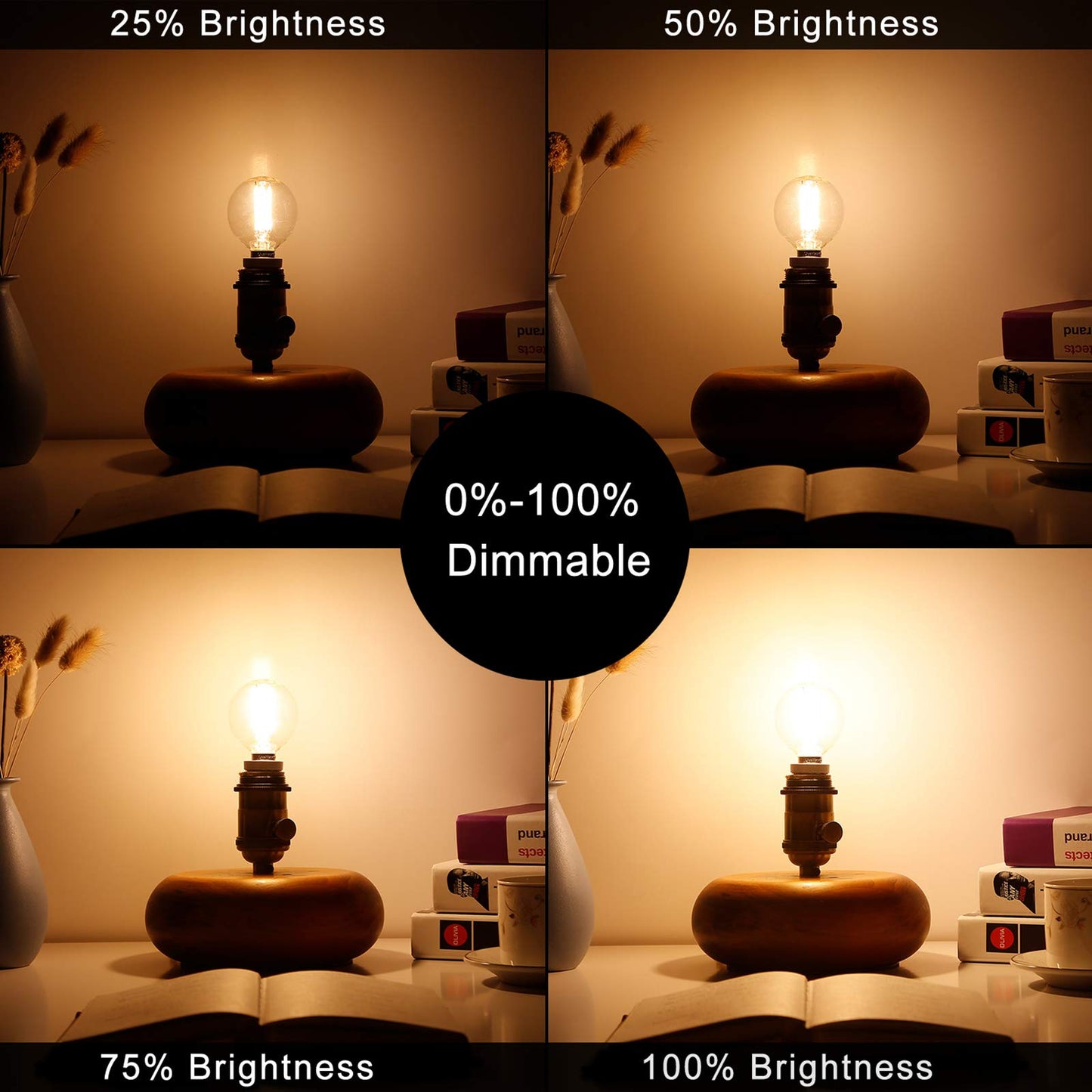 LiteHistory G16.5 E12 Bulb,Light Bulbs 60 watt Soft White,2700K,Dimmable