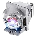 Araca RLC-109 (OEM Original Bulb Inside) Projector Lamp with Housing for Viewsonic PA503W PG603W PS501W PS600W VS16973 VS16977 Replacement Projector