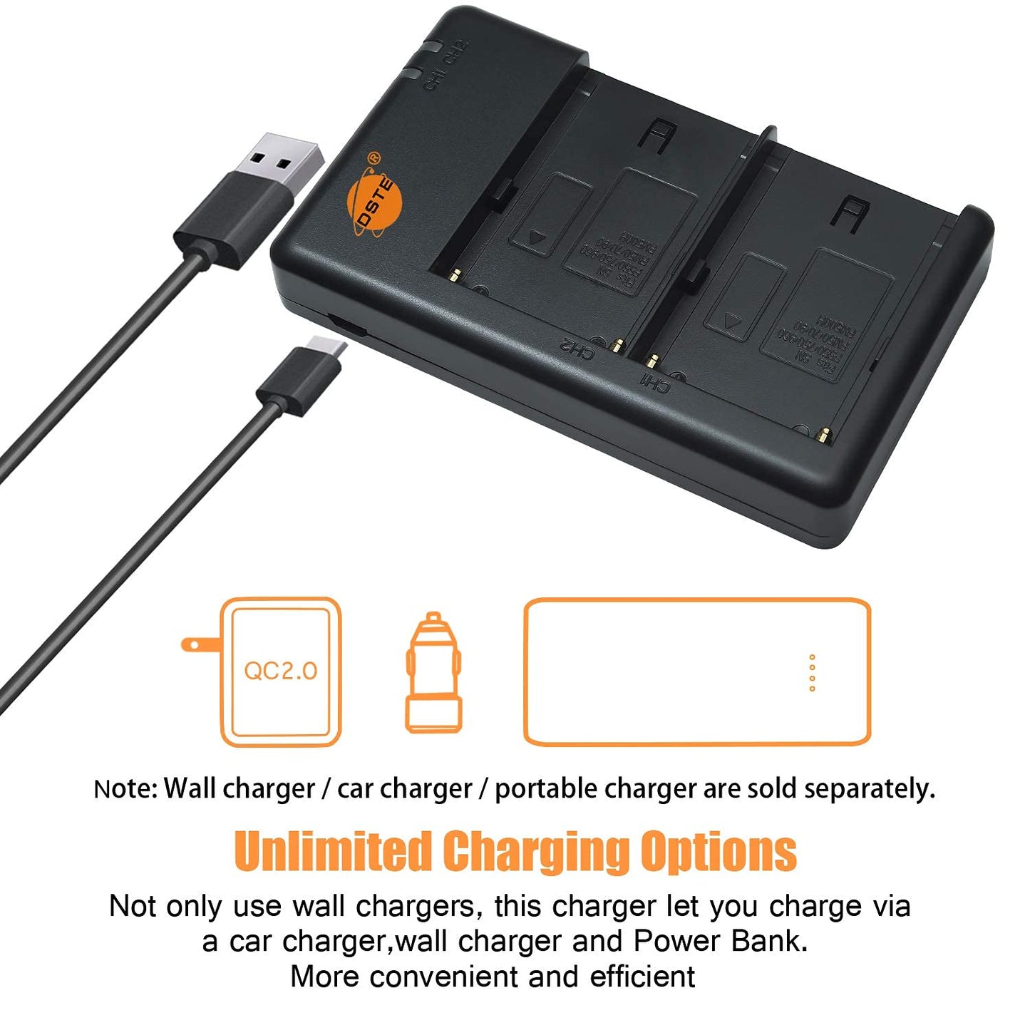DSTE Replacement for 2X NP-F550 Battery + Rapid Dual Battery Charger with Micro USB Cable Compatible Sony CCD-RV100 Camera CN-160 CN-216 CN-304 YN 300