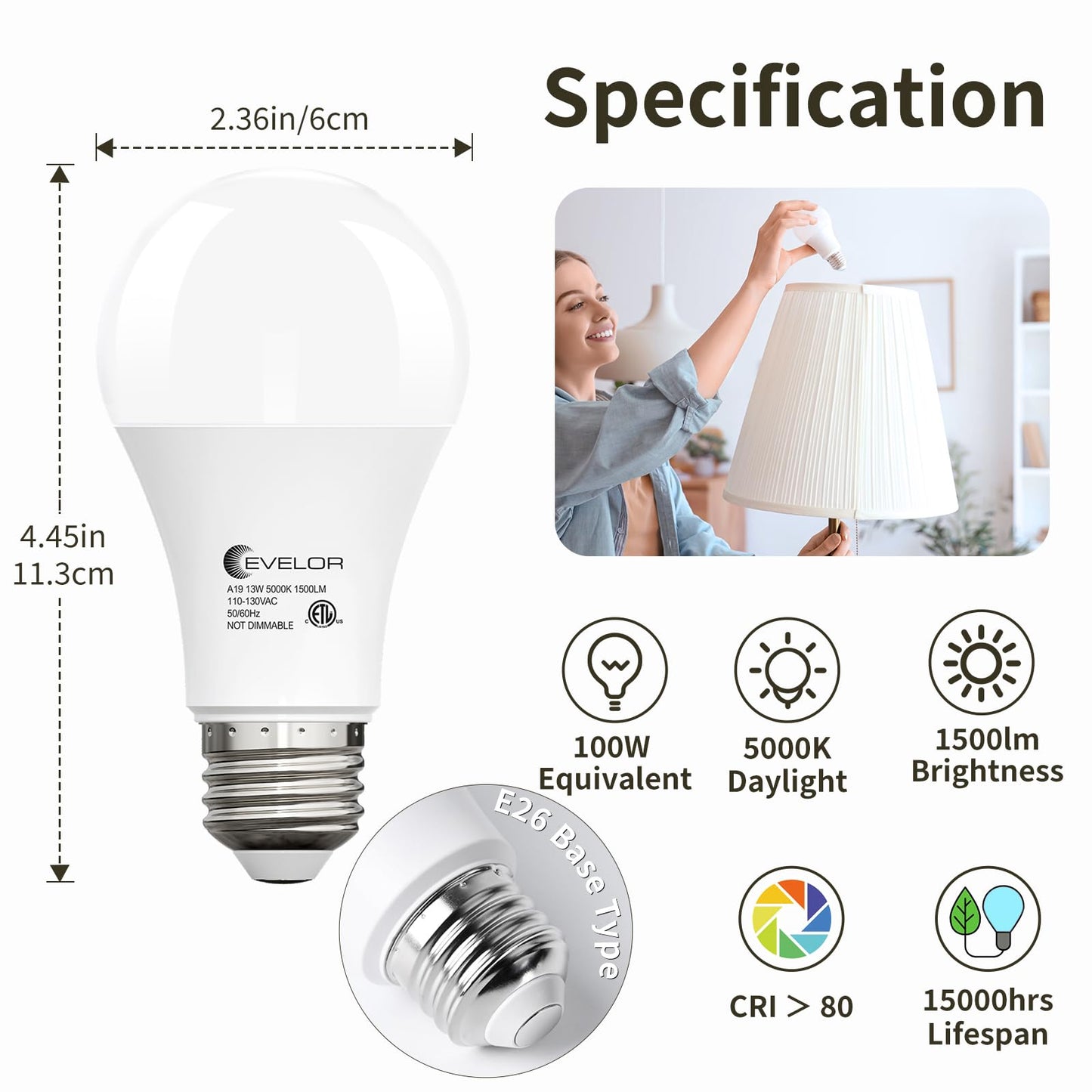 evelor A19 LED Light Bulbs,100 Watt Equivalent,Daylight 5000K,24-Packs