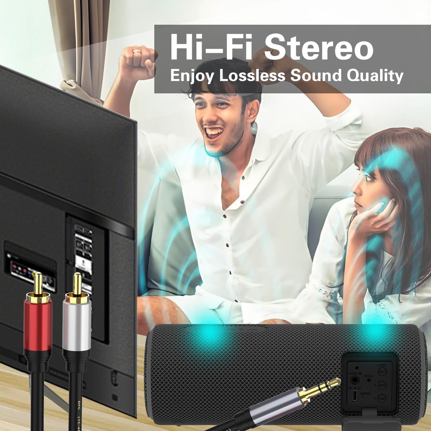 3.5mm to RCA Cable 3.3FT, 3.5mm to 2-Male RCA Auxiliary Stereo Audio Y Splitter Gold-Plated for Smartphones, MP3, Tablets, Speakers, Home Theater