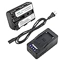 Kastar LED Super Fast Charger & Camcorder Battery Replacement for Sony NP-FM30 NP-FM50 NP-FM51 NP-QM50 NP-QM51 NP-FM55H NP-QM70 NP-QM71 NP-QM71D